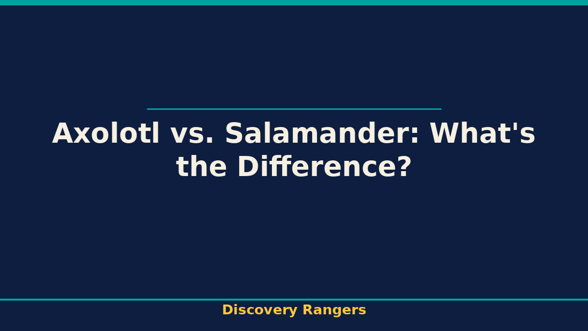 Axolotl vs. Salamander: What's the Difference? - illustrated guide