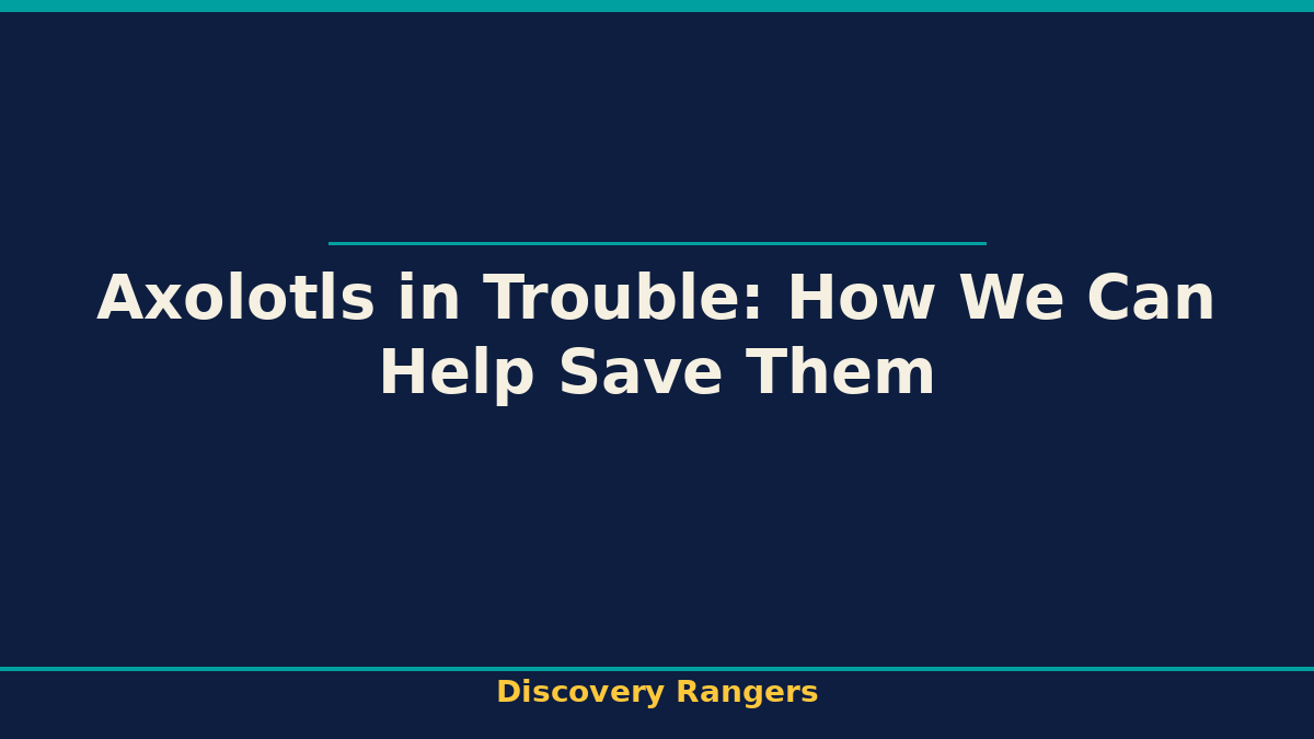 Axolotls in Trouble: How We Can Help Save Them. Animal Science illustrated guide for kids | Discovery Rangers