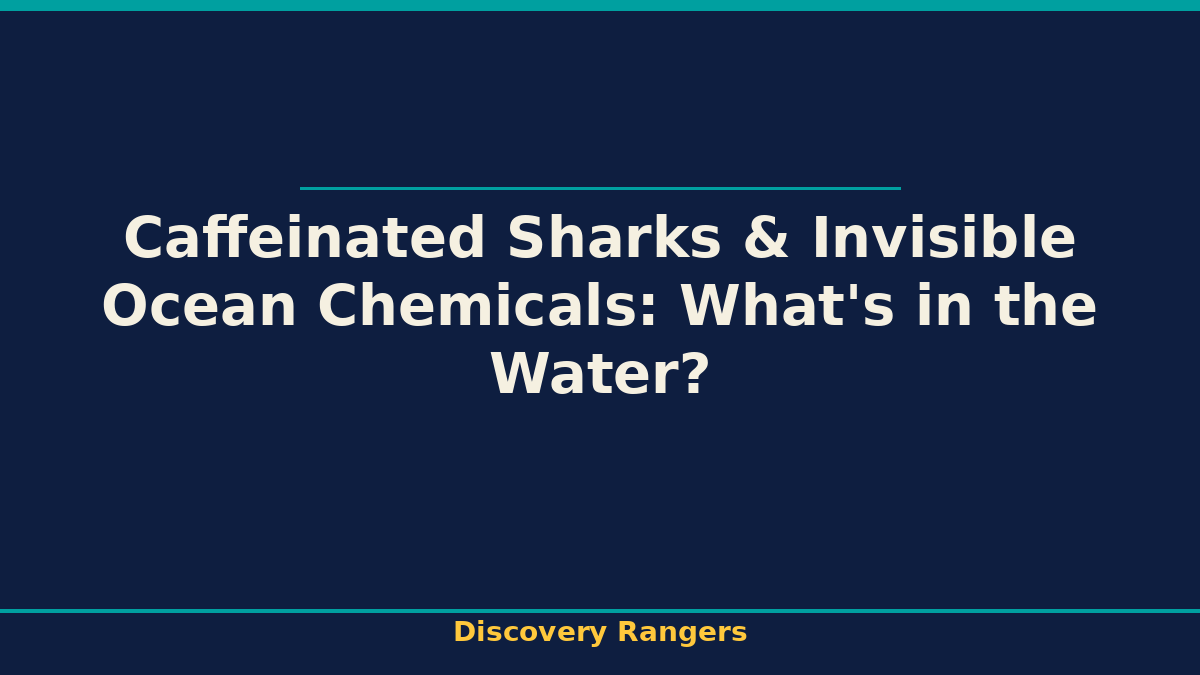 Caffeinated Sharks & Invisible Ocean Chemicals: What's in the Water? - illustrated guide