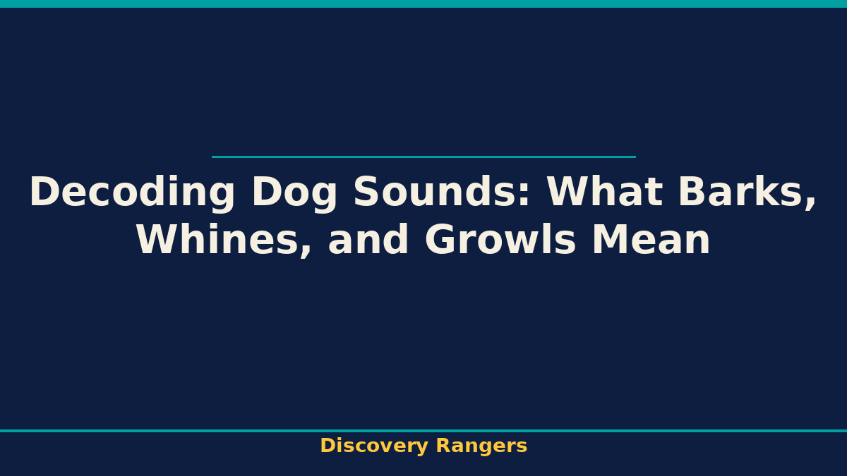 Decoding Dog Sounds: What Barks, Whines, and Growls Mean - illustrated guide