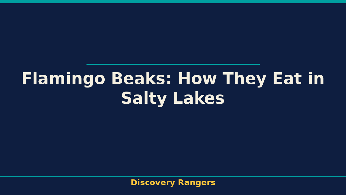 Flamingo Beaks: How They Eat in Salty Lakes - illustrated guide
