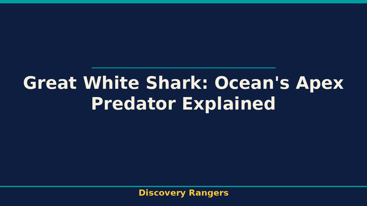 Great White Shark: Ocean's Apex Predator Explained - illustrated guide