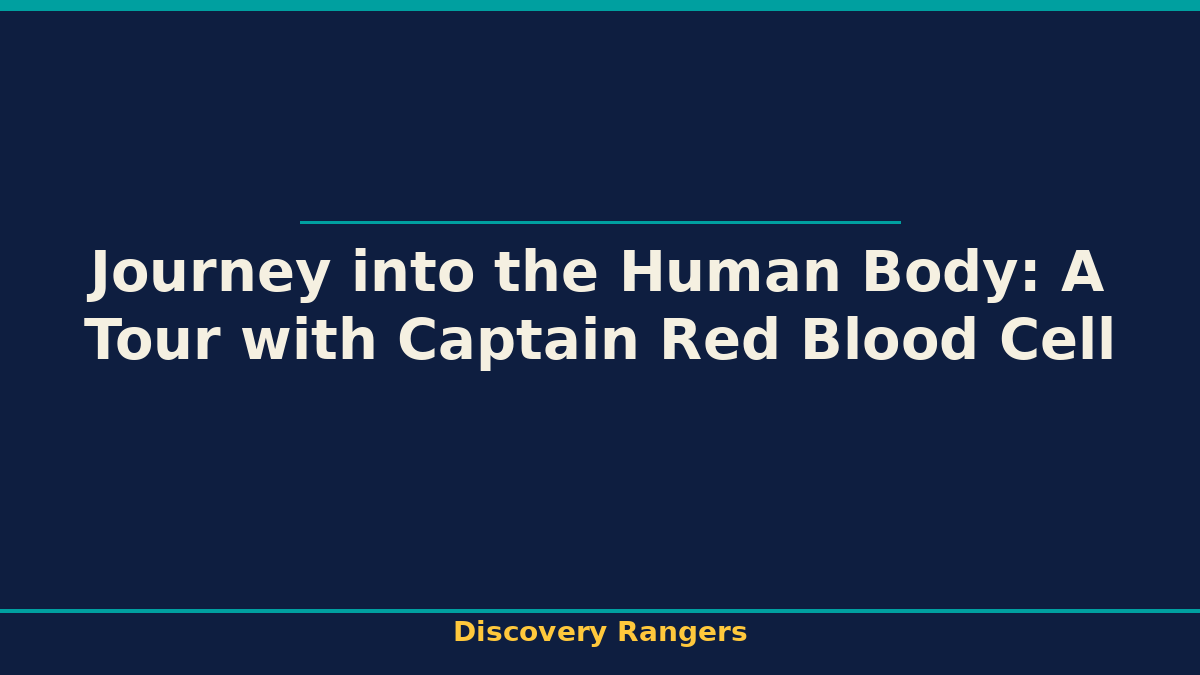 Journey into the Human Body: A Tour with Captain Red Blood Cell. Discovery Rangers illustrated guide for kids | Discovery Rangers