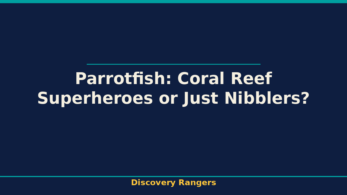 Parrotfish: Coral Reef Superheroes or Just Nibblers? | Science illustrated guide for kids | Discovery Rangers