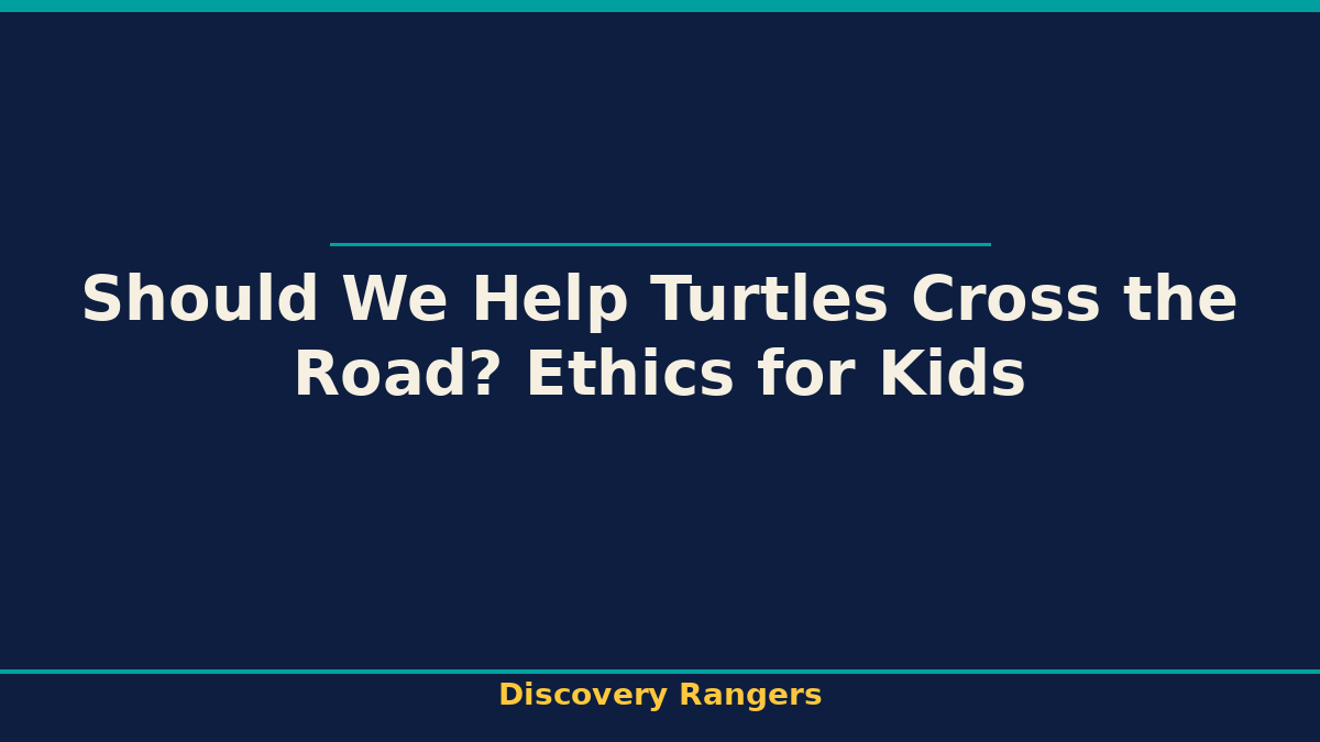 Should We Help Turtles Cross the Road? Ethics for Kids. Animal Science illustrated guide for kids | Discovery Rangers