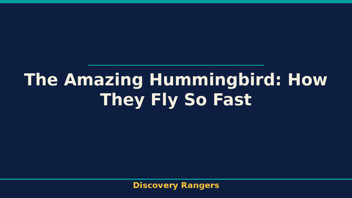 The Amazing Hummingbird: How They Fly So Fast - illustrated guide