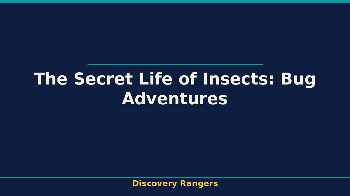 The Secret Life of Insects: Bug Adventures. Discovery Rangers illustrated guide for kids | Discovery Rangers