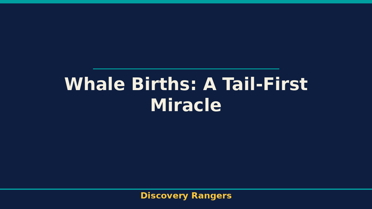 Whale Births: A Tail-First Miracle - illustrated guide