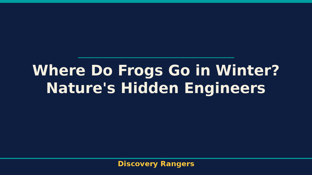 Where Do Frogs Go in Winter? Nature's Hidden Engineers | Science illustrated guide for kids | Discovery Rangers