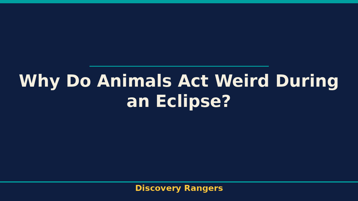 Why Do Animals Act Weird During an Eclipse? | Science illustrated guide for kids | Discovery Rangers