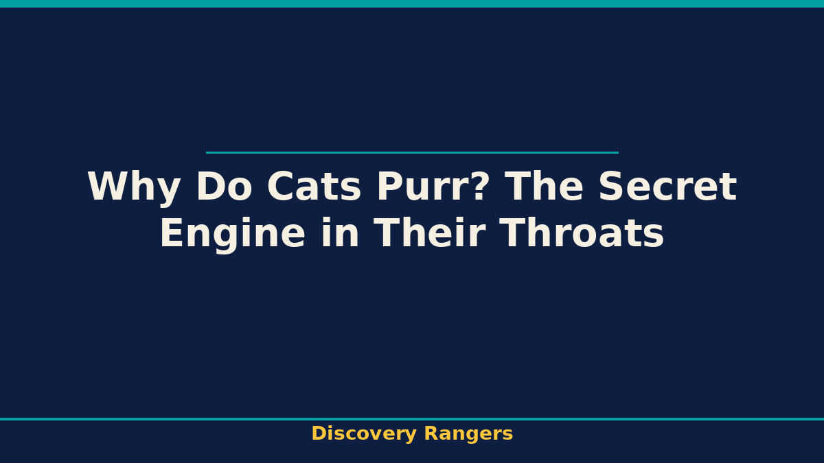 Why Do Cats Purr? The Secret Engine in Their Throats | Science illustrated guide for kids | Discovery Rangers