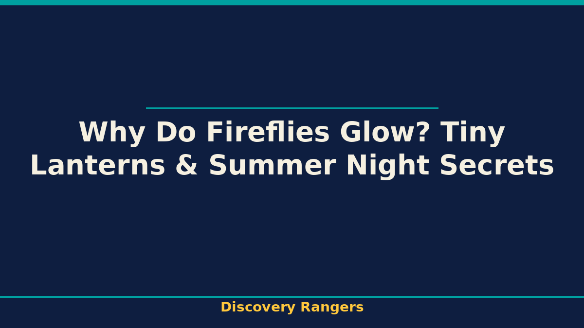 Why Do Fireflies Glow? Tiny Lanterns & Summer Night Secrets | Science illustrated guide for kids | Discovery Rangers