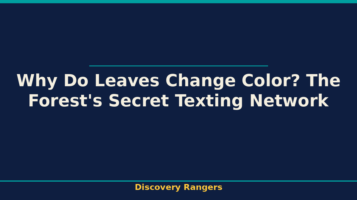 Why Do Leaves Change Color? The Forest's Secret Texting Network | Science illustrated guide for kids | Discovery Rangers